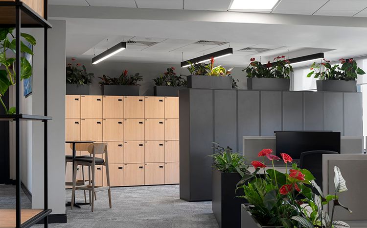 办公室空间设计，赋予了员工健康工作方式